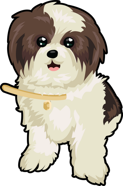 Cute Shih Tzu Vector (sticker, shirt design)